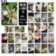 88 x 56mm-es 30db-os fotó szett - LOMO kártya - KPOP - BTS - Bangtan Boys - 1