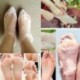 Rózsa. 1 Páros baba lábápolás Peeling láb maszk megújítása A Callus Dead Skin pedikűr eltávolítása