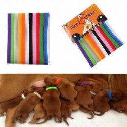 * 23 12Pcs Kutya macska azonosítója gallér -
