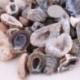 2.5x5cm 2Pc Agate Geodes Gyűjteménykristályok Félig gyógyító természetes kő ékszerek készítése