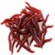 Puha vörös földigiliszta horgászbogár féregfűzők Crankbaits horog Tackle Baits 50 db