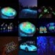 Sárga 10g fény a sötét fényes por fluoreszcens fényes pigment graffiti DIY