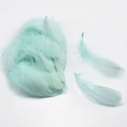 Világos zöld 100PCS természetes liba tollak 8-12 cm hattyú Plume DIY karnevál dekoráció kézműves tétel