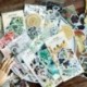 * 2 60db címke napló papír matrica Scrapbooking növények Virág matricák Telefon dekoráció