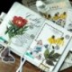 * 4 60PC Mix Laptop Dekorációs növények Matricák Napló Címke Papír matrica Telefon dekoráció
