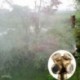 3 lyuk Lyuk sárgaréz szórófej fúvóka sprinkler fej kerti farm öntözőrendszer