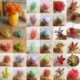 1 * Szimuláció Mini műanyag miniatűr pozsgás növények Otthoni kert Iroda dekoráció