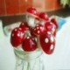 20db mini piros gomba dísz kerti miniatűr növény edények tündér DIY babaház