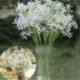 Gypsophila virágos mesterséges hamis selyem virág növény fél esküvői lakberendezés Új