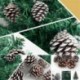 9db 4cm-es Arany színű toboz dísz - Karácsonyi dekoráció