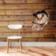 Kivehető DIY 3D macska WC-matricák Fürdőszoba művészet Vinyl lakberendezési fali matrica