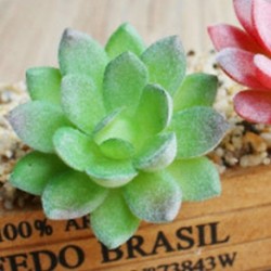 5 * Szimuláció Mini műanyag miniatűr pozsgás növények Kert Home Office Decor