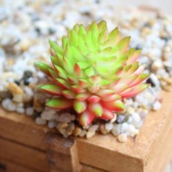 7 * Szimuláció Mini műanyag miniatűr pozsgás növények Kert Home Office Decor