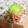7 * Szimuláció Mini műanyag miniatűr pozsgás növények Kert Home Office Decor