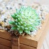 9 * Szimuláció Mini műanyag miniatűr pozsgás növények Kert Home Office Decor