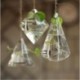 Lámpás alakú Kreatív függő üveg virág ültetvény váza terrárium konténer kerti lakberendezés