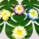 24PCS trópusi Hawaii zöld levelek Luau Moana Home Party asztali díszek