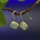 Női Opal Hook fülbevaló Divatos évforduló Dangle Drop 18K arany töltött ékszerek