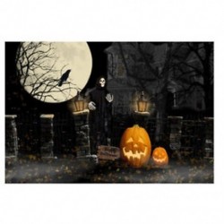 210x150cm-es Teliholdas - Töklámpás - Varjús - Csontvázas Halloween háttér stúdió fotózáshoz - J5G7