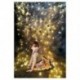 2db 210x150cm-es Karácsonyi fényfüzéres - csillagos háttér stúdió fotózáshoz - A4Z8