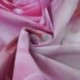 3db 210x150cm-es Rózsaszín rózsás háttér stúdió fotózáshoz - B3P7
