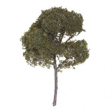 3,54 hüvelyk tájképes, parkosított Sycamore fa modell / Sycamore L7G3 modell