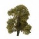 4,72 hüvelyk tájkép-fafa Pinus Sylvestris N5W3