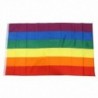 1X (zászló, 5 láb x 3 láb, Rainbow E9T5)