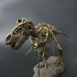 Nagy dinoszaurusz fosszilis koponya állatmodell játékok Tyrannosaurus Rex összeszerelni Th F4Y6