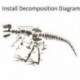 2X (nagy dinoszauruszos fosszilis koponya állatmodell játékok Tyrannosaurus Rex szerelvény W1U5