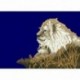 2X (Teljes körű fúró gyémánt hímzés naplemente Lion 5D DIY gyémántfestés O9T7