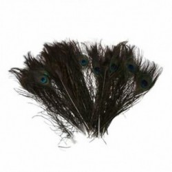 50db természetes páva farok toll (nagy szemű), kb. 26-30cm M3S8