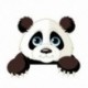 1X (Aranyos Állatok Panda világító kapcsoló matrica Eltávolítható falimatrica gyerekeknek H Y4X2