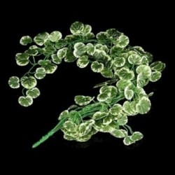 1X (1 Strauss mesterséges Begonia eső levelek növényi rattan esküvőre Y7P1 december 1