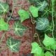 2db művirágok Hamis lógó növényi levelek Garland Home Garden F2O2
