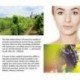 Omylady szőlőmag-esszencia C-vitamin szérum arc krém folyékony esszencia késleltetés A T6F1