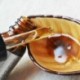 Purc marokkói tiszta argan olaj a hajápoláshoz 2 db 10 Ml hajolaj-kezelés a B6G5-hez