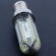 E14 5W 3014 104 LED szekrény világítás AC 220 V hideg fehér N9I3