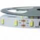 Szuper fényes 5M 300 SMD 5630 LED szalagcsík A fényszóró sávja fehér V8Q9 Y4Q4