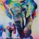 2X (Modern vászon fali dekoráció művészeti festmény, elefántok festménye - 20 C4P6