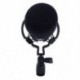 2X (BM 800 Karaoke kondenzátor mikrofon, Shock Mount kondenzátor Microphon A3M9