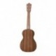 Koncert Ukulele Diy Kit 23 hüvelykes Zebrawood4 húrok Hawaii gitár kéz P7I3