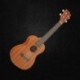 Burks Ukulele 23 hüvelykes 15 Frets Sapele koncert Ukulele gitár rózsafa 4 Str O9Y1