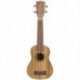 1X (IRIN koncert Ukulele 21 hüvelykes 4 húros Hawaii mini gitár akusztikus Gui R6J2
