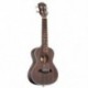 ANDREW Ukulele koncert Ukulele 23 hüvelykes 4 húros gitár hawaii mahagóni W Y1B2