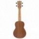 2X (IRIN 21 hüvelykes gitár ukulele szoprán Hawaii 4 húros gitár gitár instru J4A7