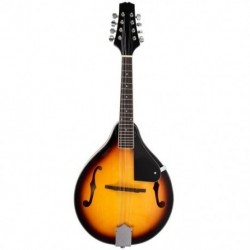 IRIN A-stílusú mandolin Sunburst C2F1