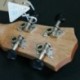 4X (Ukulele Uke 4 nejlon húrok Sapele rózsafa gitár delfin mintázat UniveX6Z4