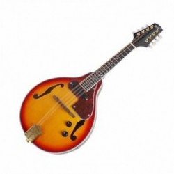 IRIN 8-húros elektromos mandolin A stílusú rózsafa fingerboard állítható Str D7W8