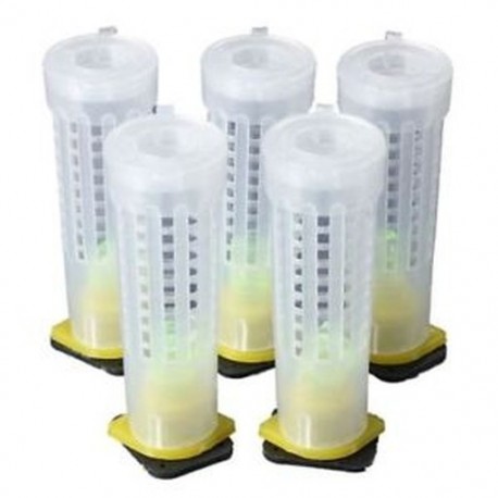 5X méhészeti méhkirálynő cellacsöves ketrec ketrecek   tartó és kiegészítők U A0L8